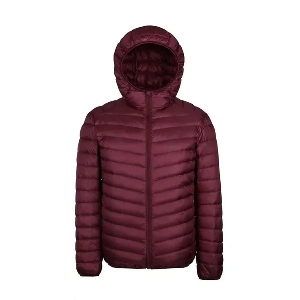 Heren Gewatteerde Winterjas met Capuchon – Warm & Stijlvol