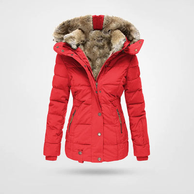 Dames Winterjas met Capuchon – Warm, Modern & Gevoerd